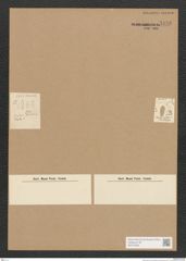 Diatomeae indet. Zeichnungen Sammlung Grunow Nr. 5136 (NHMW-BOT-W0373450)